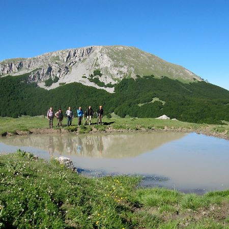 B&B Sole Del Pollino Rotonda Dış mekan fotoğraf