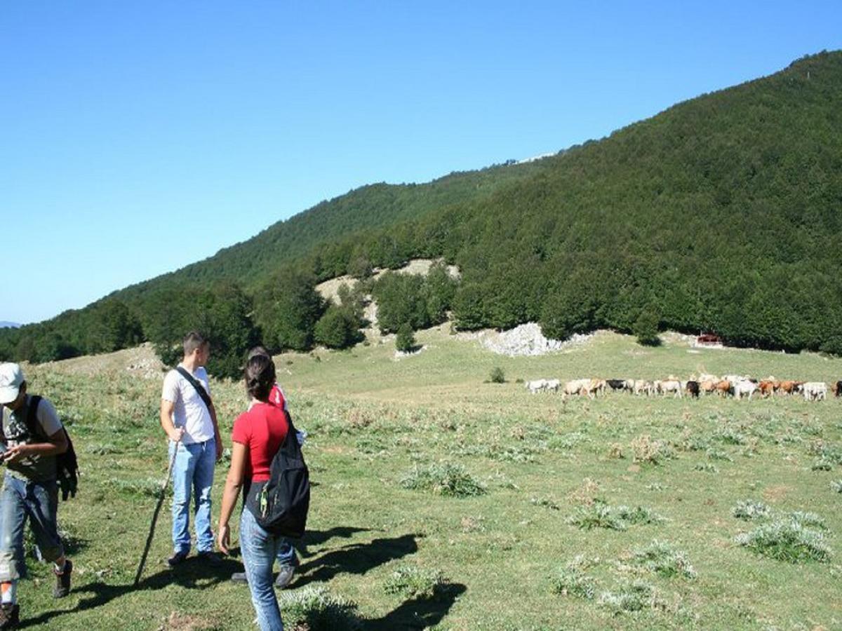 B&B Sole Del Pollino Rotonda Dış mekan fotoğraf